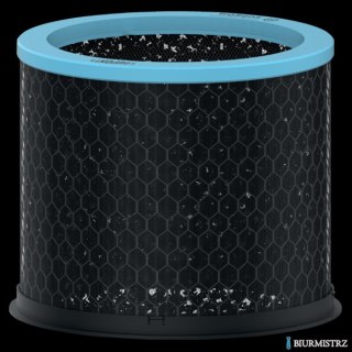 Wymienny węglowy filtr antyalergiczny i przeciwgrypowy Leitz TruSens Z-2000 2415118