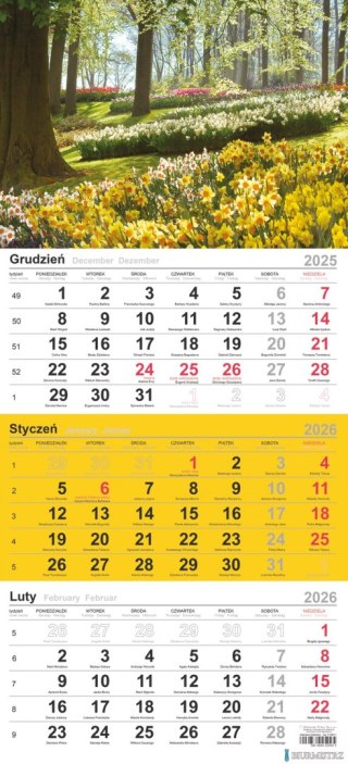 Kalendarz trójdzielny (H) 2026 Michalczyk i Prokop T-106T-06
