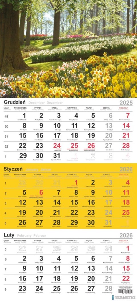 Kalendarz trójdzielny (H) 2026 Michalczyk i Prokop T-106T-06