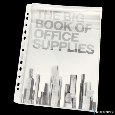 Koszulki groszkowe na katalogi A4 z klapką ESSELTE 180 mic.5szt 47523003