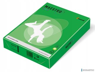 Papier A4 ciemno zielony DG47 MAESTRO COLOR