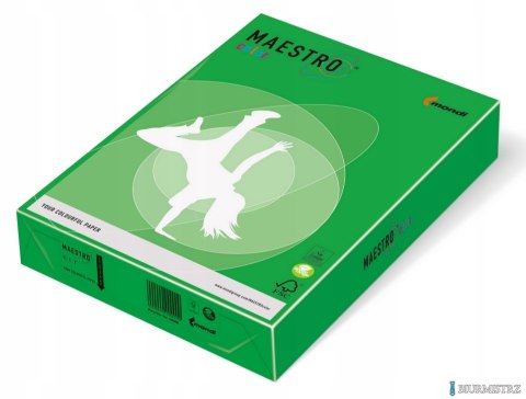 Papier A4 ciemno zielony DG47 MAESTRO COLOR