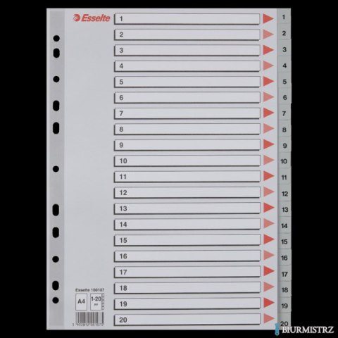 Przekładki plastikowe numeryczne A4 1-20 szare ESSELTE 100107