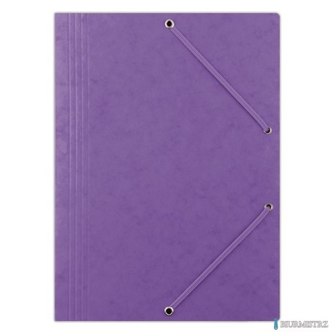 Teczka pre.z g.A4 fioletowa 8643080-23PL DONAU