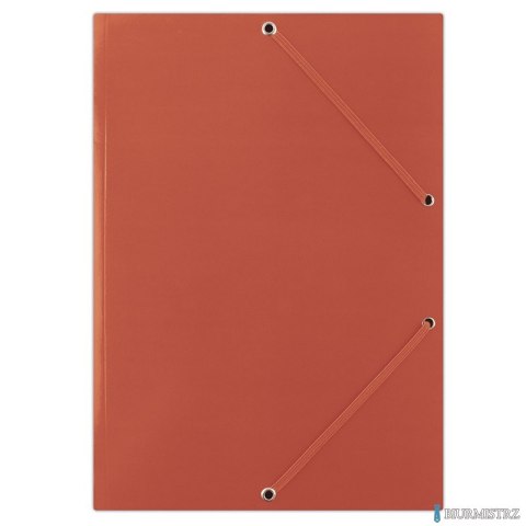 Teczka z gumką czerw.FEP DONAU FEP04G