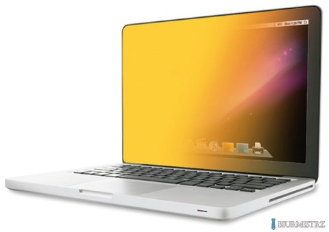 Bezramkowy filtr prywatyzujący 3M_ (GPF14.0W9), do laptopów, 16:9, 14, złoty