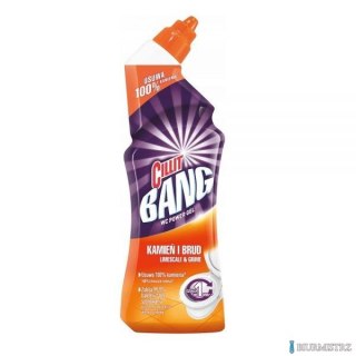 CILLIT BANG Żel do WC 750ml Kamień i Brud 11179