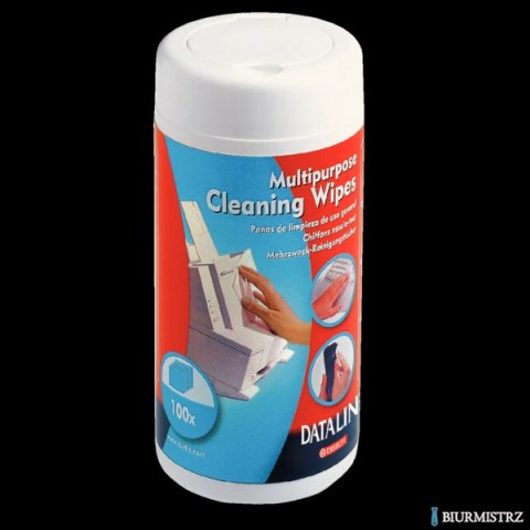 Chusteczki wilgotne do plastiku ESSELTE DATALINE (100szt) 67656