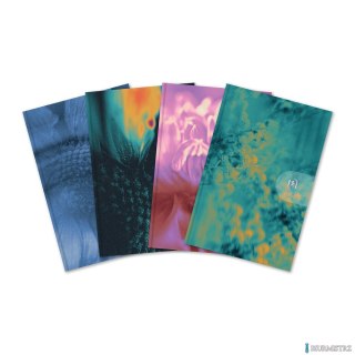 Kalendarz Oxford harmony 2026 10x15cm WTV mix 400204135