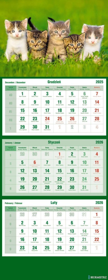 Kalendarz trójdzielny 2026 Koty Michalczyk i Prokop T-105T-10