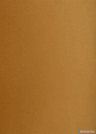 Karton kolorowy Creatinio B2 225g 25ark nr.19N brązowy 400150328 TOP-2000