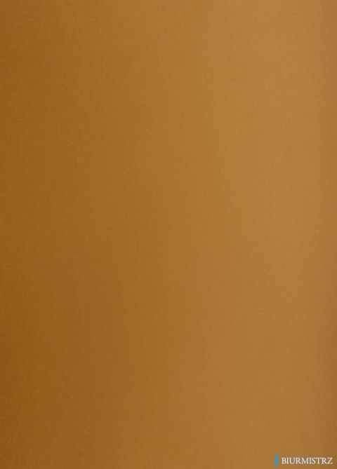 Karton kolorowy Creatinio B2 225g 25ark nr.19N brązowy 400150328 TOP-2000