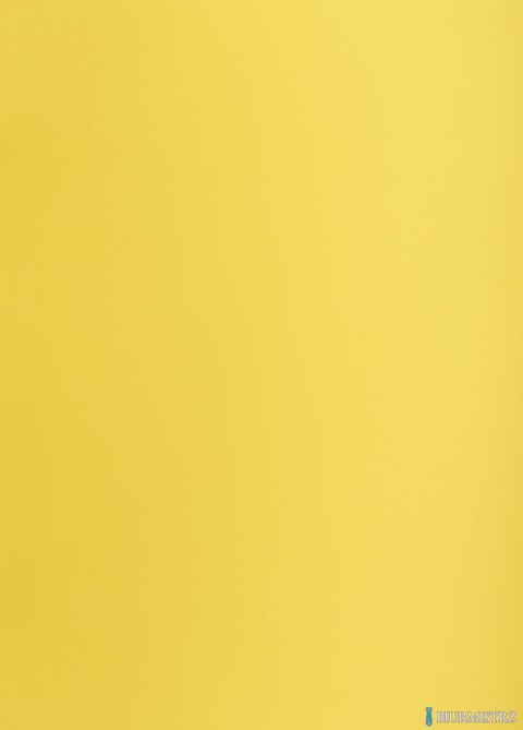 Karton kolorowy Oxford B2 225g 25ark nr.55 żółty 400150334 TOP-2000