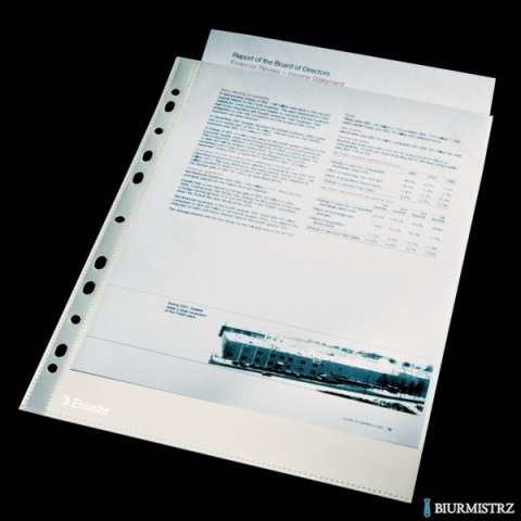 Koszulki krystaliczne A4 Esselte, 40 mic., 100 szt., w folii, 13089