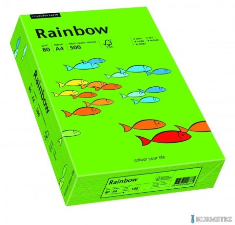 Papier xero kolorowy RAINBOW ciemnozielony R78 88042673