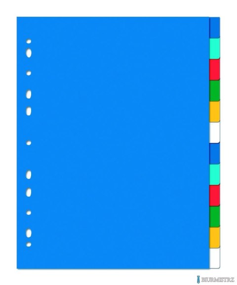 Przekładki OXFORD z kolorowego PP, A4 MAXI, 12 kart 100205086