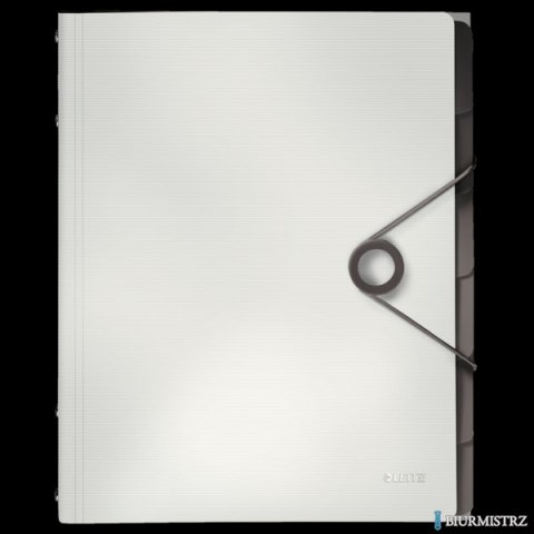 Teczka segregująca 6 przekładek biała PP LEITZ SOLID 45691001