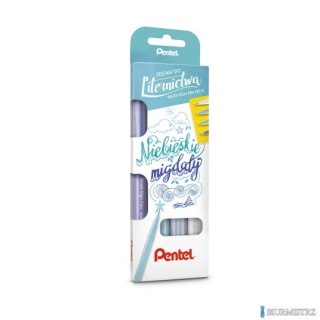 Zestaw 4 pisaków pędzelkowych do kaligrafii i liternictwa NIEBIESKIE MIGDAŁY SES15C-ST4NSSV