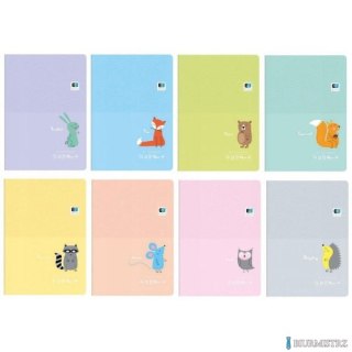 Zeszyt A5 16k. kolor. linia B&B KIDS PASTEL 5563 INTERDRUK