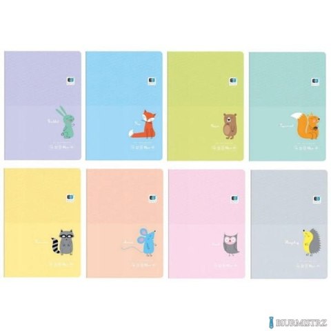 Zeszyt A5 16k. kolor. linia B&B KIDS PASTEL 5563 INTERDRUK