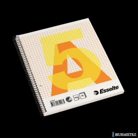 Zeszyt biurowy, A5, w kratkę, spirala z boku Esselte, 62906