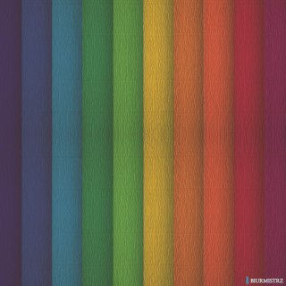 Bibuła marszczona Creatinio 50x200 mix tęczowy komplet 10 sztuk 400153931 TOP-2000