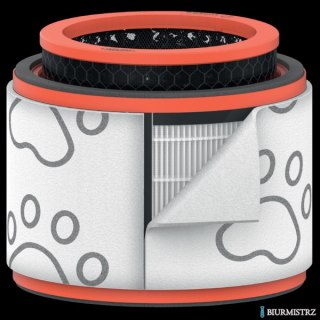 Filtr dla właścicieli zwierząt HEPA (3 w 1) Leitz TruSens Z-2000 2415129