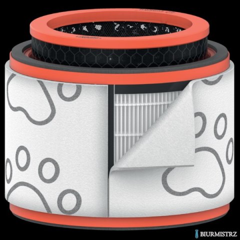 Filtr dla właścicieli zwierząt HEPA (3 w 1) Leitz TruSens Z-2000 2415129