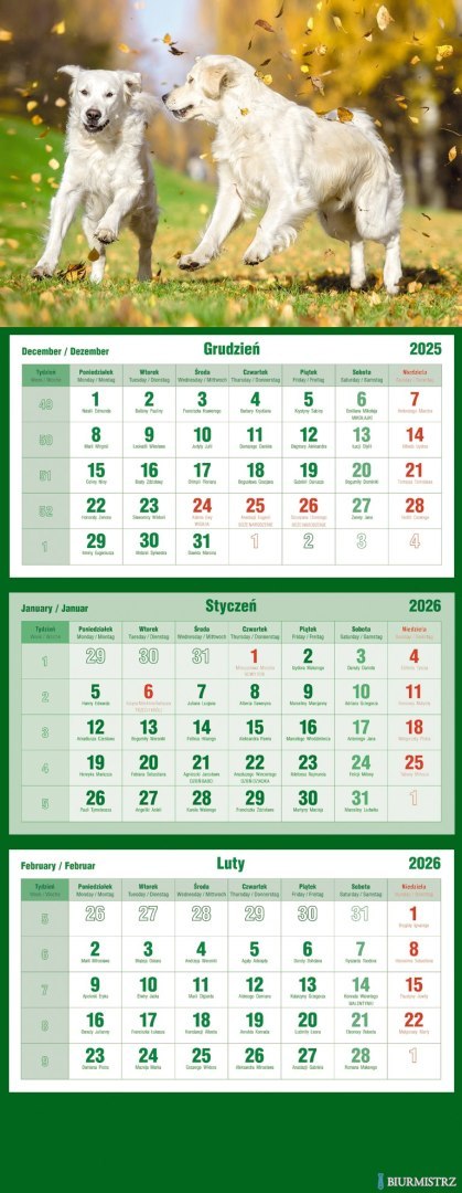 Kalendarz trójdzielny 2026 Psy Michalczyk i Prokop T-105T-09