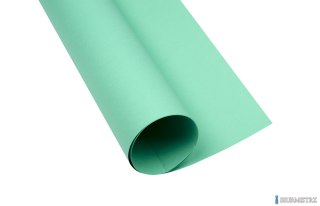 Karton kolorowy Creatinio A1 160g 25ark nr.64 seledynowy 400149554 TOP-2000 SALE