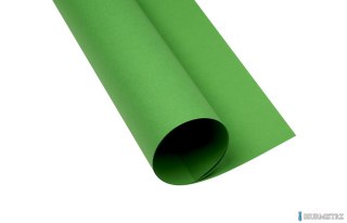 Karton kolorowy Oxford B1 225g 25ark nr.68 zielony 400150268 TOP-2000