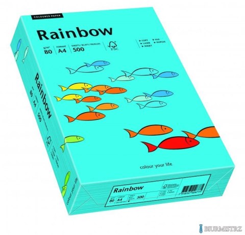 Papier xero kolorowy RAINBOW 80gr. niebieski R87 (500 arkuszy) 88042739