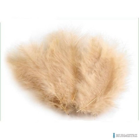 Piórka Beżowe (P-077) 10-12cm op 50szt ALIGA