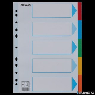 Przekładki karton A4 5 kart ESSELTE 100191 kolorowe z kartą opisową