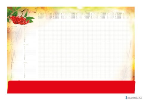 Terminarz-Planer B3 z listwą 2026 Jarzębina Michalczyk i Prokop T-2-B3-6 kalendarz