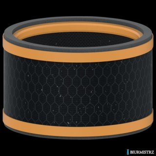 Wymienny węglowy filtr zapachów Leitz TruSens Z-1000 2415122