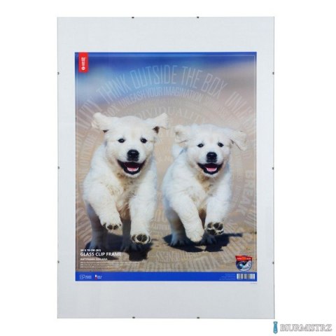 Antyrama szkło B2 50x70 MAN050070-47