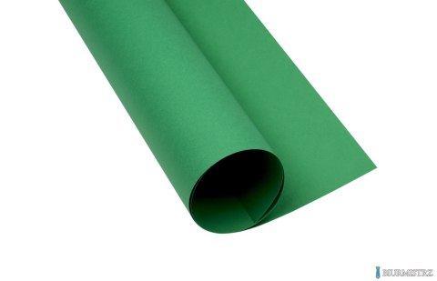 Karton kolorowy Creatinio A1 160g 25ark nr.63M c.zielony 400149561 TOP-2000