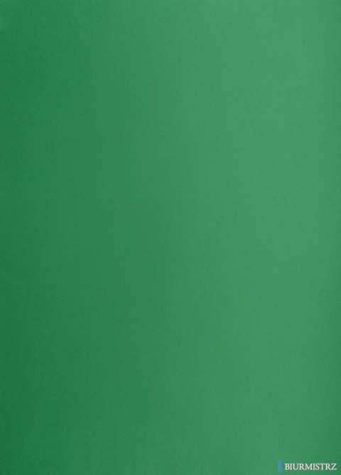 Karton kolorowy Oxford B2 225g 25ark nr.63 c.zielony 400150339 TOP-2000