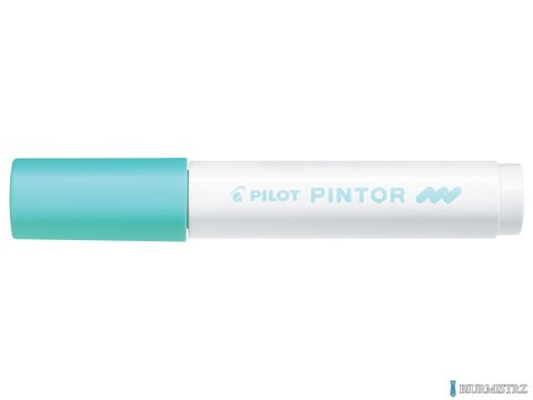 Marker PINTOR M pastelowy zielony PISW-PT-M-PG PILOT (X)