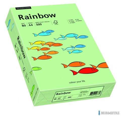 Papier xero kolorowy RAINBOW przygaszona zieleń R75 88042629