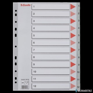 Przekładki plastikowe szare PP A4 1-12 100106 numeryczne ESSELTE