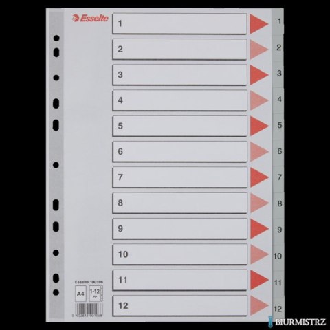 Przekładki plastikowe szare PP A4 1-12 100106 numeryczne ESSELTE