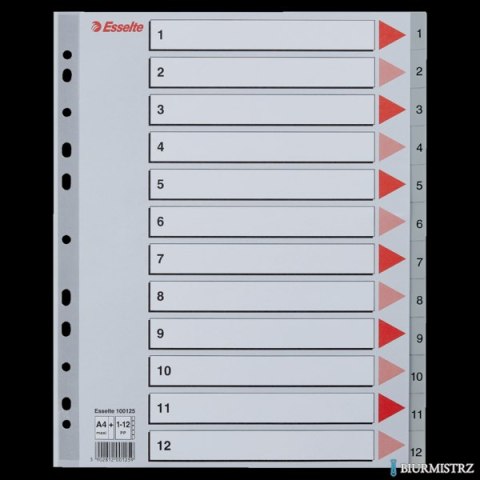 Przekładki plastikowe szare PP alfabetyczne A4 Esselte, 1-12 maxi, , 100125