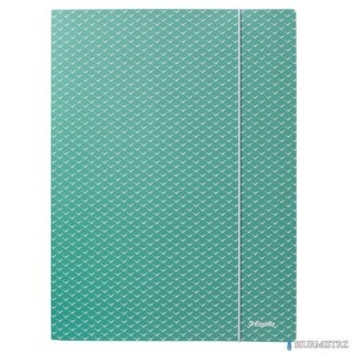 Teczka kartonowa z gumką Colour"Breeze, A4, zielona 628493