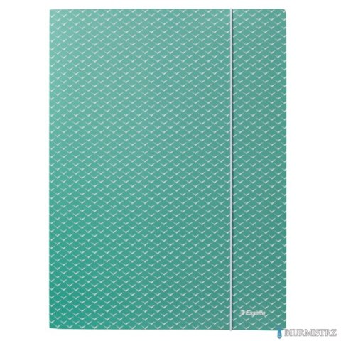 Teczka kartonowa z gumką Colour"Breeze, A4, zielona 628493