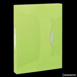 Teczka z gumką ESSELTE VIVIDA 40mm zielona 624051