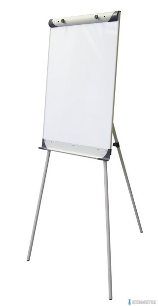 Flipchart suchościeralno-magnetyczny DOTTS 90x60 na trójnogu