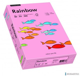 Papier xero kolorowy RAINBOW różowy R55 88042541