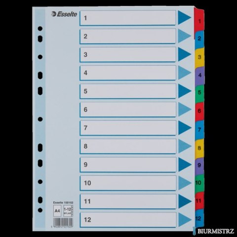 Przekładki kartonowe MYLAR A4 1-12 100162 białe ESSELTE